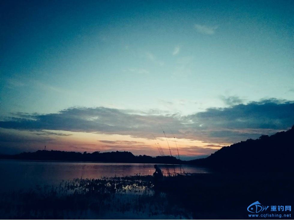 092614x2dv0f0ljs422qqm.jpg