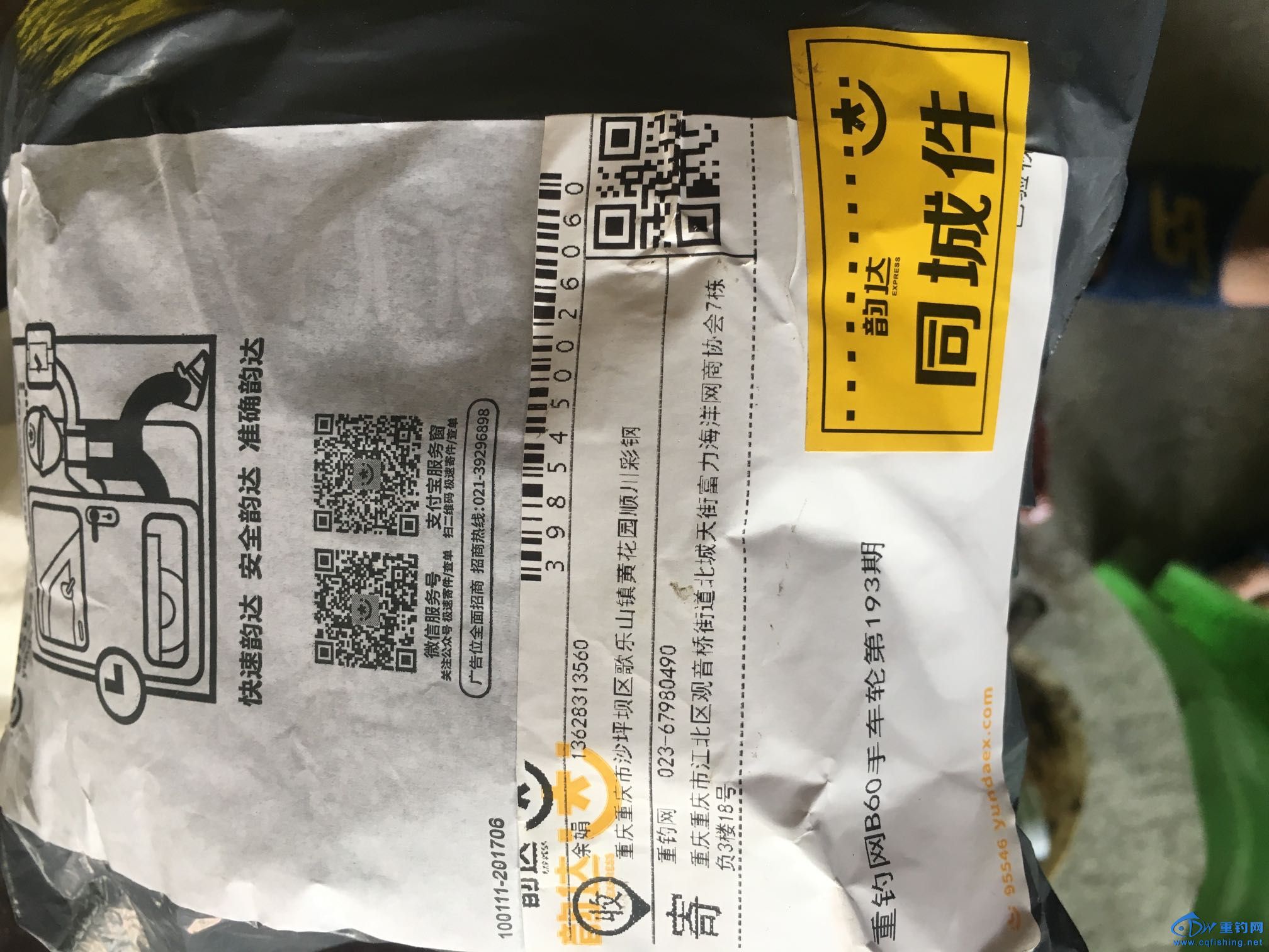 114852y23gg91gygx3633h.JPG