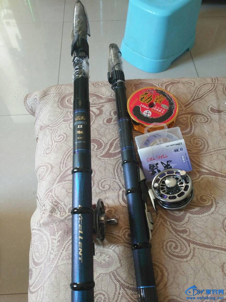172148s8od2z83x32x88gh.jpg
