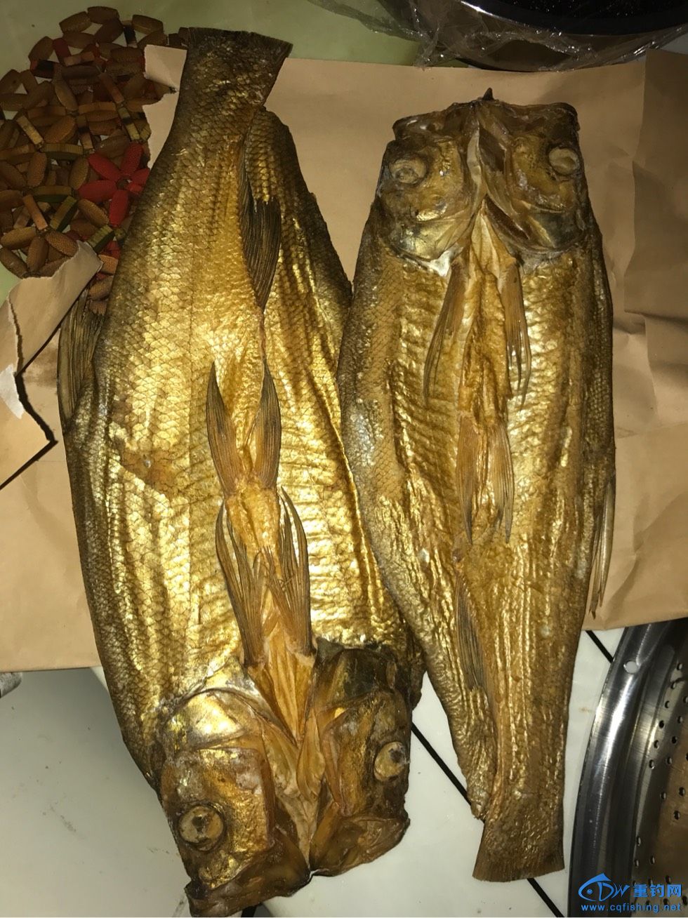 171923qc0220f9tfxn6ctt.jpg