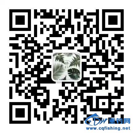 155152vw5ezfol1ehh1hvs.jpg