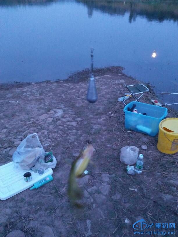 234910eq710oiqwx7ifohc.jpg