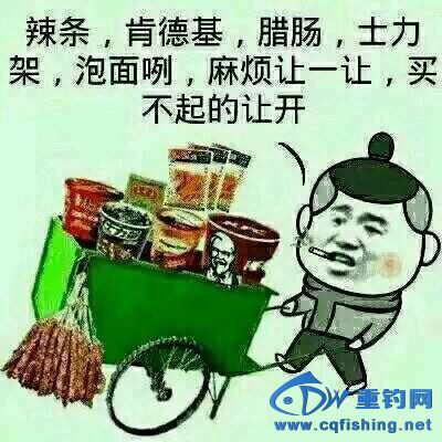 161923bl5hoqqlp05lbthq.jpg