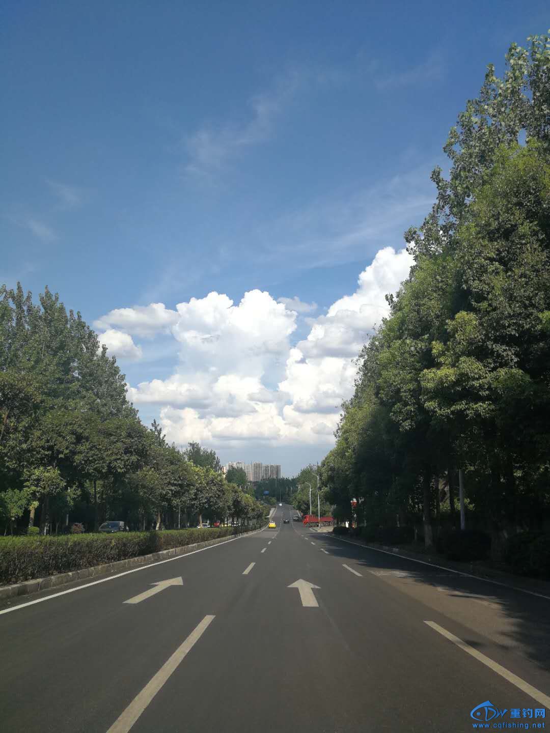 111051ubm19jbo2bbtrhmd.jpg