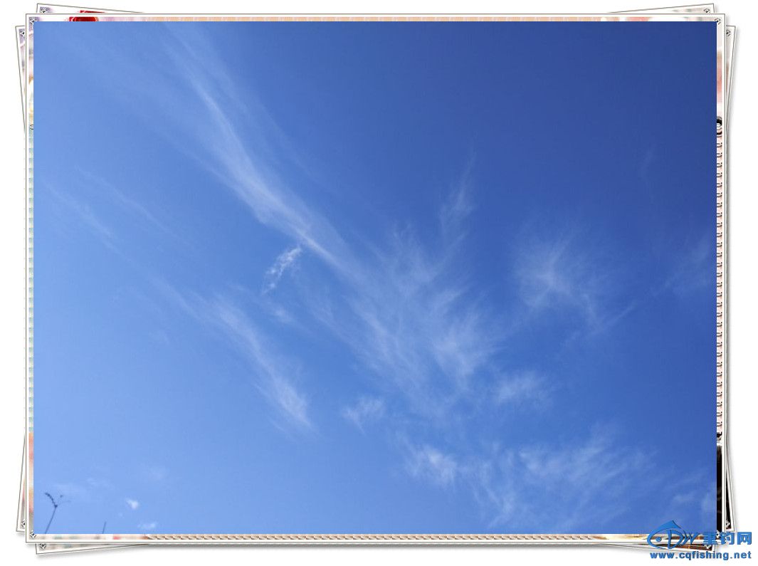 091710i272bx3yy7cao88o.jpg