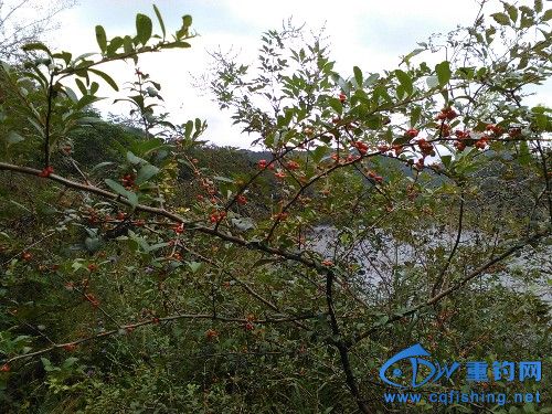 IMG_20171007_131910.jpg
