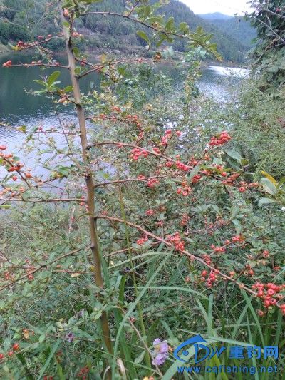 IMG_20171007_131923.jpg