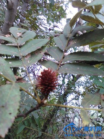 IMG_20171007_132604.jpg