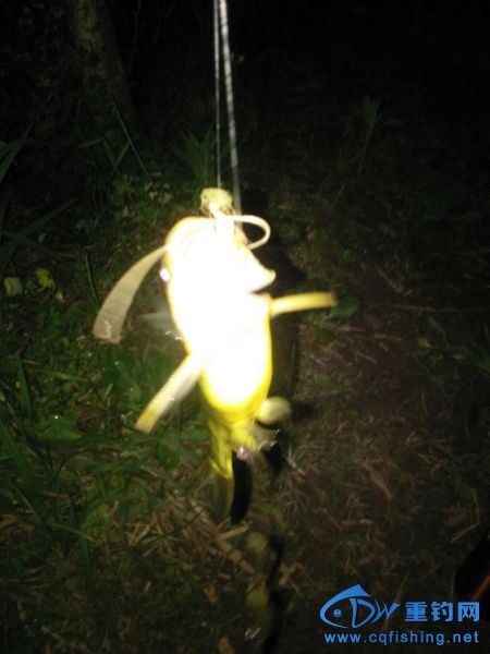 003841smuogwpczosg9ccc.jpg