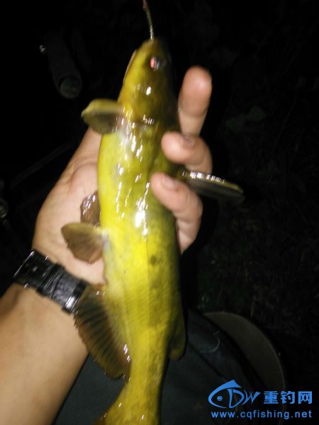 003910u33390f9mml382ll.jpg
