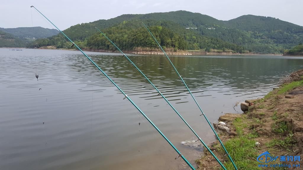 20170427_100710.jpg