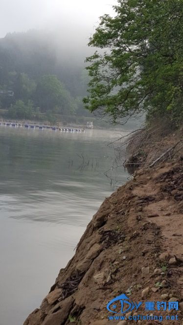 20170429_080223.jpg