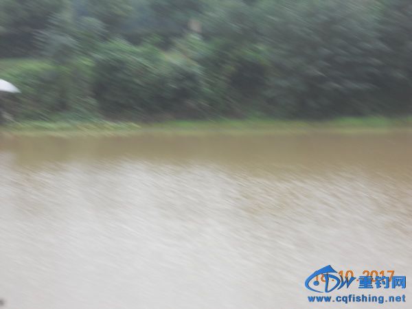 DSCN8688.jpg