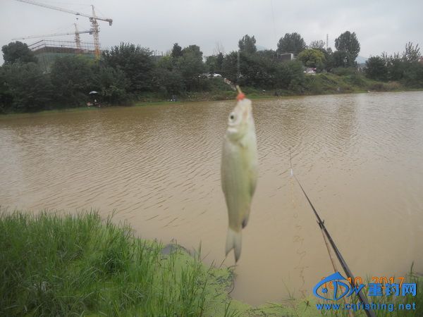 DSCN8693.jpg