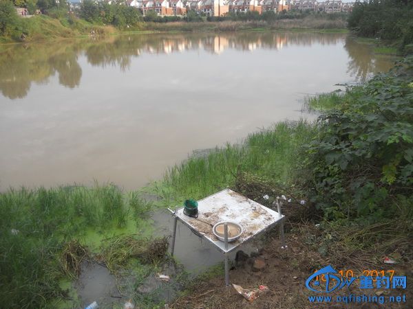 DSCN8695.jpg