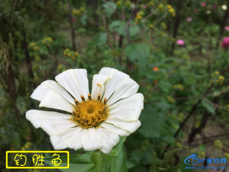 010721zdd6ip7q5u77rp77.jpg