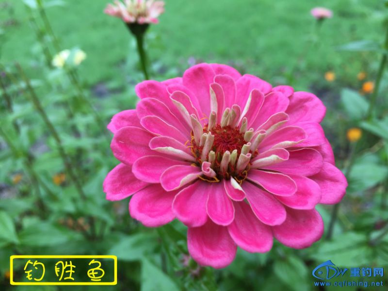 010723dx0paf9zrfgz9fxo.jpg