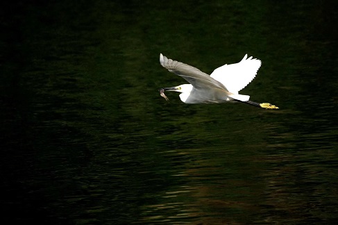 IMG_0719.JPG
