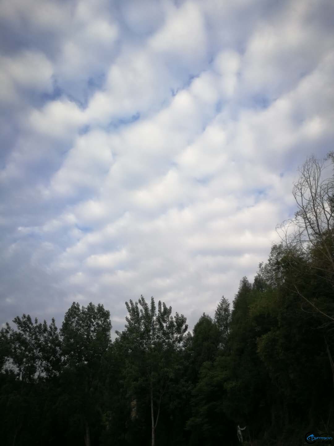 161807wdmjaak80n1h4k8l.jpg
