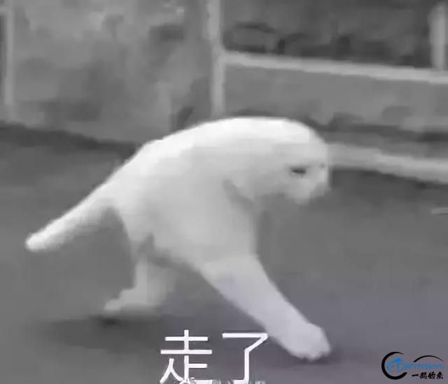 ͹溣-19.jpg