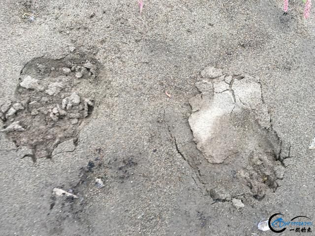 ε˹ܷĵ飬ݳ޵ӽһγԸ-21.jpg