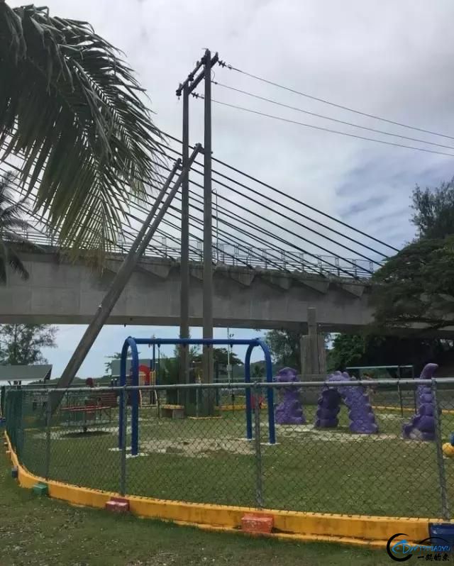 ͹-100.jpg