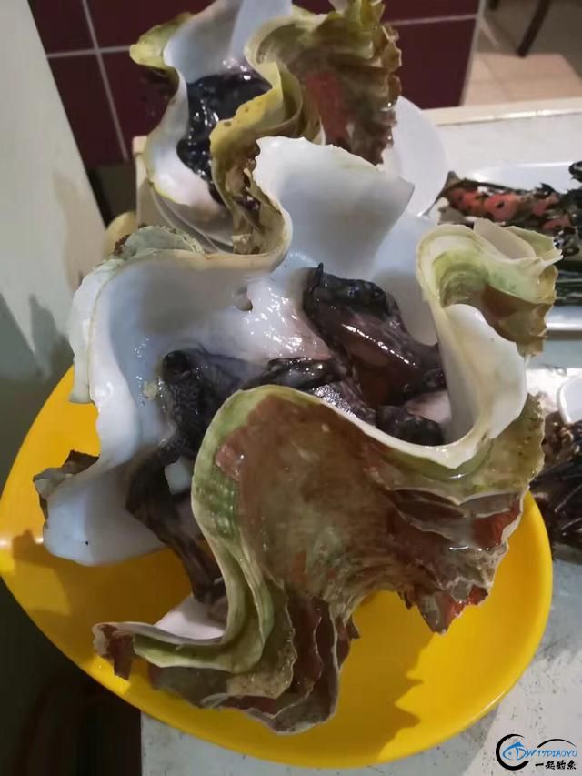 ѪĺԣȫСʿ-23.jpg