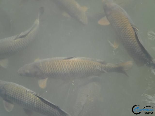 ĵ˾ɹģй˶-3.jpg