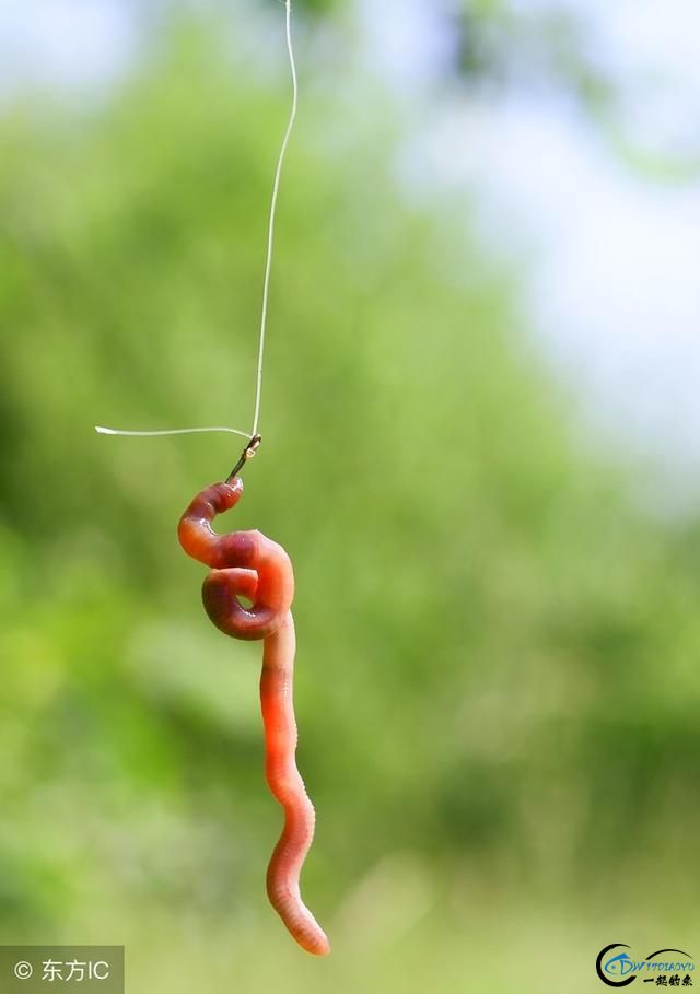 ϵĻƽ䣬䷽ֿһ鶼ᣬˮҧ-3.jpg