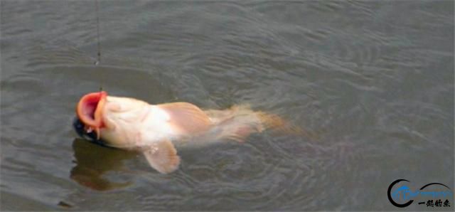 ＾ˮҰãֿվļʺС-3.jpg