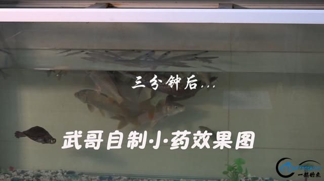 ˶׷ľ磬ֽ3ѧֵľ-1.jpg