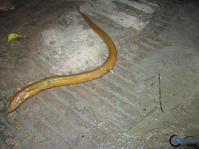 ˵㣬ϵܷḻ-5.jpg