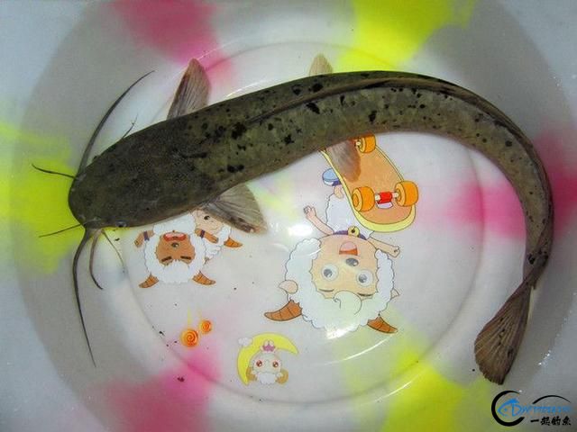 ˵㣬ϵܷḻ-9.jpg