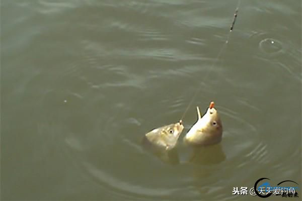 ָ͵㣬μ4·-3.jpg