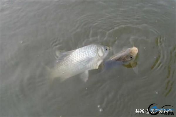 㣬ΪβƯã-2.jpg