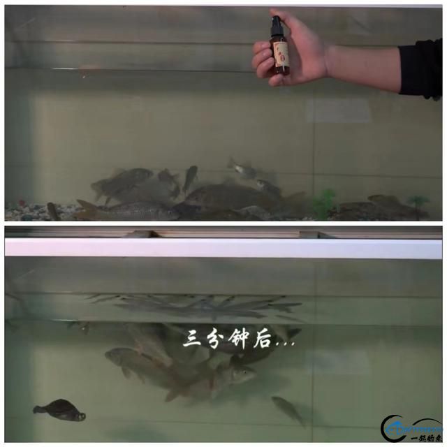 70͸¶㼼ɣ֪Щ㶼۹-5.jpg