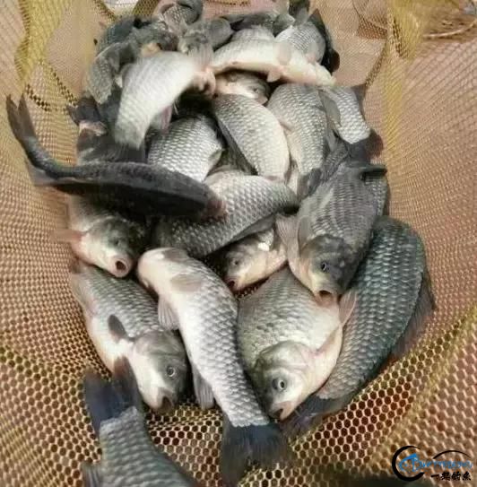 㣿ϵУ벻-5.jpg