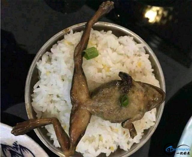 жٵϲࣿûˣֻܻȥԳ-2.jpg