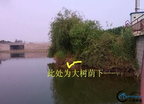 100λܽĵ㾭飬15ھ侭ʵã-4.jpg
