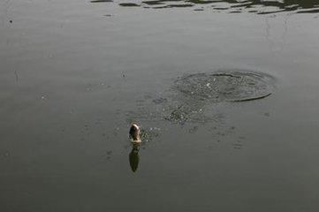 ˵ ֪-3.jpg