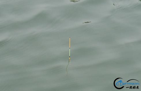 ĺãֵƯӦһ飡-1.jpg