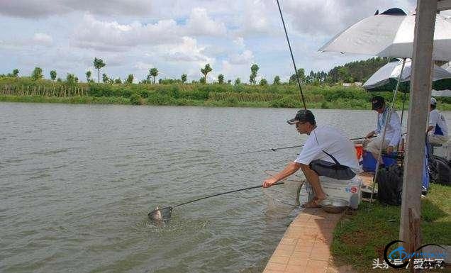 ֵ߷ֶ̨ĶҲ輼-1.jpg