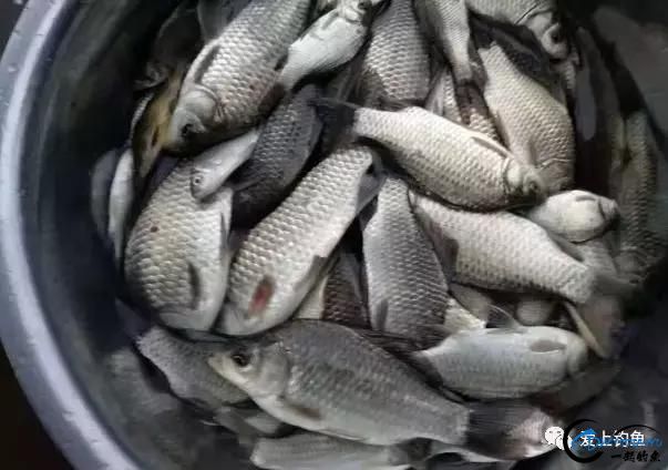 40ˮ滹飿ʵ-7.jpg