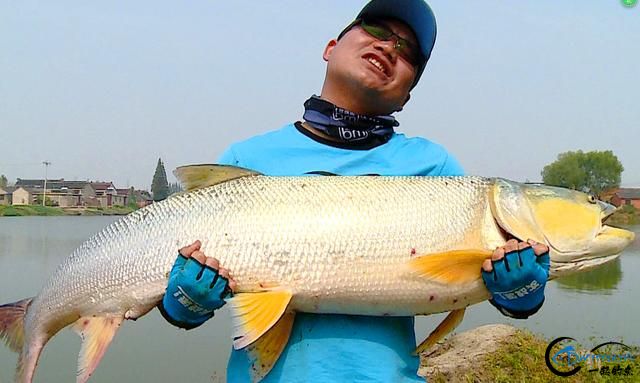 word죬һ˸ߵľ㣬ݳˣ-6.jpg