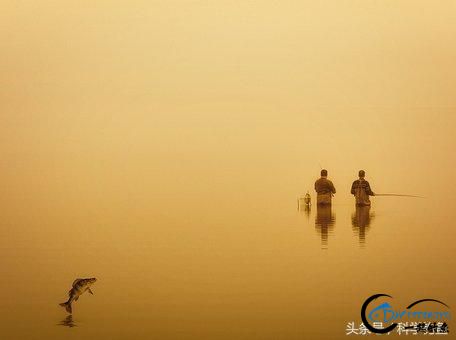 ϵƼ-4.jpg