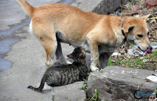 ﻹ·û˵ˮⲻҪǮ-6.jpg
