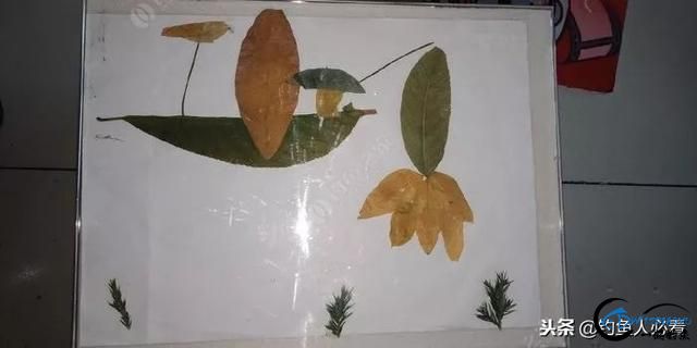 ɻϣ㷤ʹȷ򿪷ʽ-25.jpg