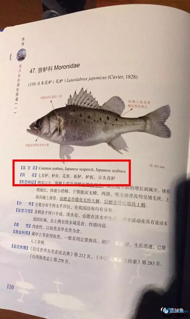 ǡйԡǡձԡ-3.jpg