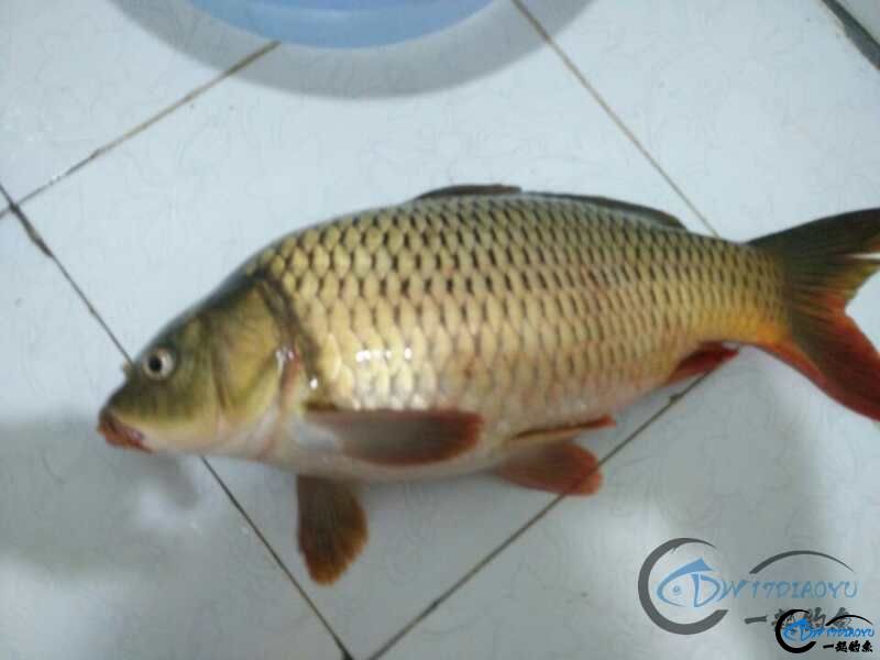 watermark,image_cGljLzIwMTgwMzIwL29zc18xNTIxNTMxNzI1Nzg4XzYxM18xMTBfODY4LnBuZw==,t_50,g_se,x_20,y_20
