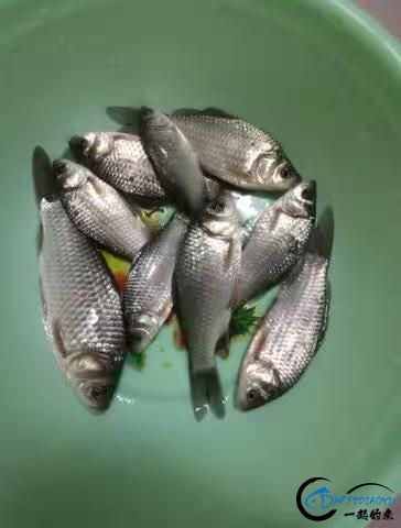 ҹҪעмǣм-2.jpg